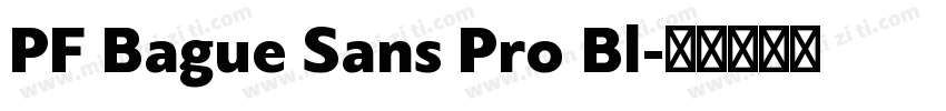 PF Bague Sans Pro Bl字体转换